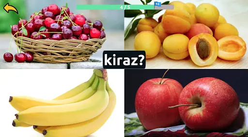 Telechargement De L Application Learn Fruits Vegetables In Turkish 2021 Gratuit 9apps