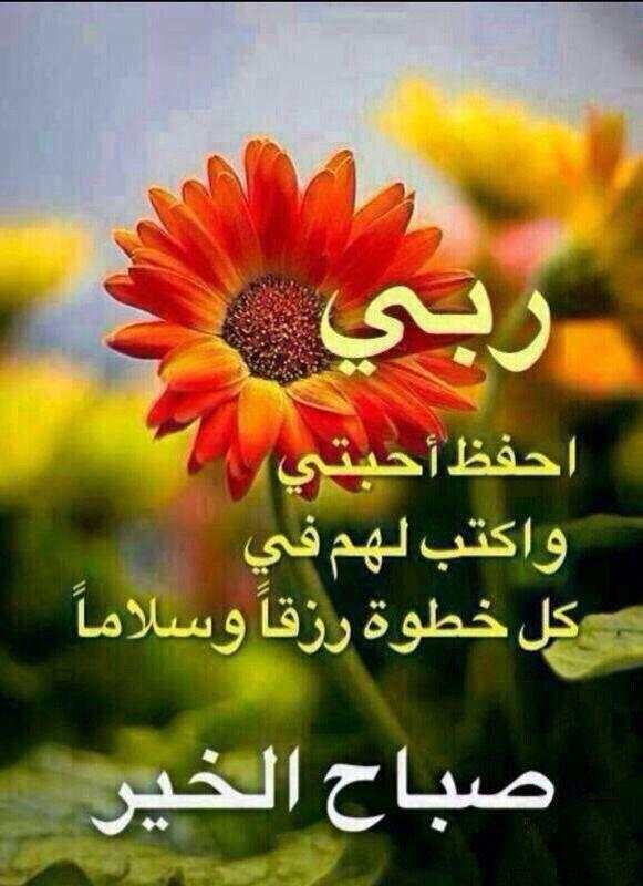 رسائل صور صباح و مساء الخير 2019 Free Download 9Game