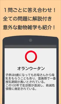 Descarga De La Aplicacion 動物クイズ この動物の名前は 21 Gratis 9apps Descarga De La Aplicacion 動物クイズ この動物の名前は 21 Gratis 9apps