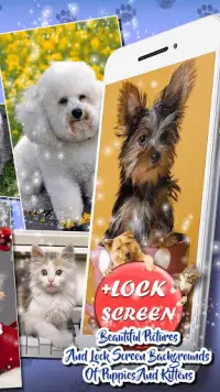 Telechargement De L Application Chaton Et Chien Fond D Ecran 21 Gratuit 9apps