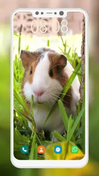 かわいいハムスターの壁紙アプリのダウンロード21 無料 9apps