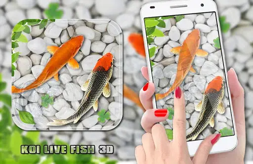 魚 ライブ 壁紙 18 水族館 コイ 背景アプリのダウンロード21 無料 9apps 魚 ライブ 壁紙 18 水族館 コイ 背景アプリのダウンロード21 無料 9apps