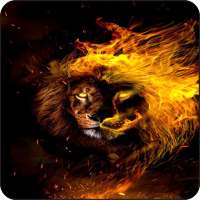 خلفيات الأسد App لـ Android Download 9apps