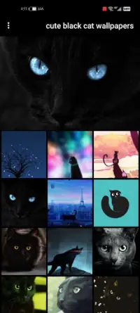 Cute Black Cat Wallpapers App Android क ल ए ड उनल ड 9apps