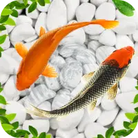 魚のライブ壁紙21 水族館鯉の背景アプリのダウンロード21 無料 9apps 魚のライブ壁紙21 水族館鯉の背景アプリのダウンロード21 無料 9apps