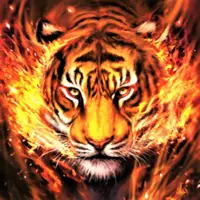 Telechargement De L Application Tigre Fond D Ecran Hd Et 4k 21 Gratuit 9apps