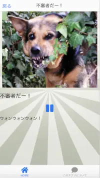 イヌトーーク App لـ Android Download 9apps イヌトーーク App لـ Android Download 9apps