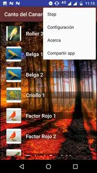 Descarga De La Aplicacion Cantos Del Canario 2021 Gratis 9apps