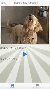 イヌトーーク App لـ Android Download 9apps イヌトーーク App لـ Android Download 9apps