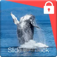 خلفية متحركة سوداء App لـ Android Download 9apps