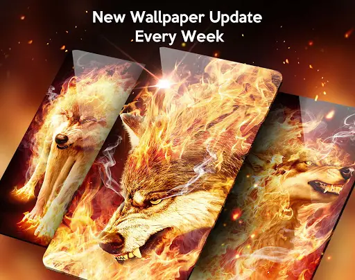 Fire Wolf Live Wallpaper Launcher Themes App لـ Android Download 9apps