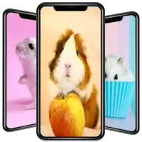 かわいいハムスターの壁紙アプリのダウンロード21 無料 9apps