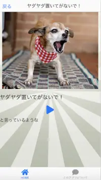 イヌトーーク App لـ Android Download 9apps イヌトーーク App لـ Android Download 9apps