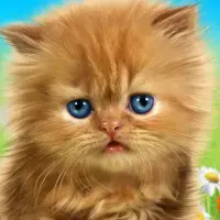 Telechargement De L Application Parler Bebe Chat Jeu Parler Pour Les Enfants 21 Gratuit 9apps Telechargement De L Application Parler Bebe Chat Jeu Parler Pour Les Enfants 21 Gratuit 9apps