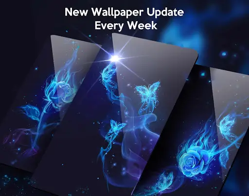 Blue Flame Rose Live Wallpaper Launcher Themes App Android क ल ए ड उनल ड 9apps