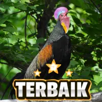 Suara Ayam Hutan Jernih ดาวน โหลดแอป 2021 ฟร 9apps