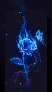 Blue Flame Rose Live Wallpaper Launcher Themes App Android क ल ए ड उनल ड 9apps