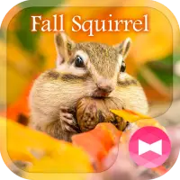 かわいい 壁紙アイコン 秋のリス 無料アプリのダウンロード21 無料 9apps