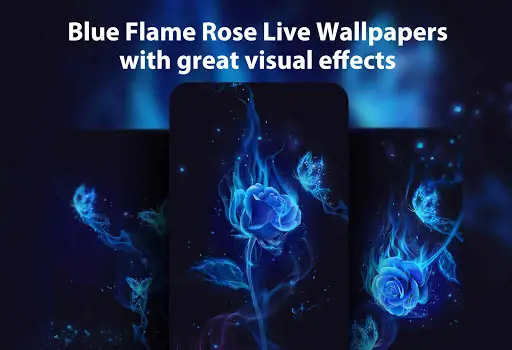 Blue Flame Rose Live Wallpaper Launcher Themes App Android क ल ए ड उनल ड 9apps